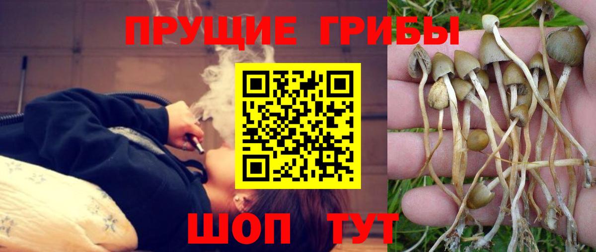 Галлюциногенные грибы мицелий  Вход с VPN  Полысаево 
